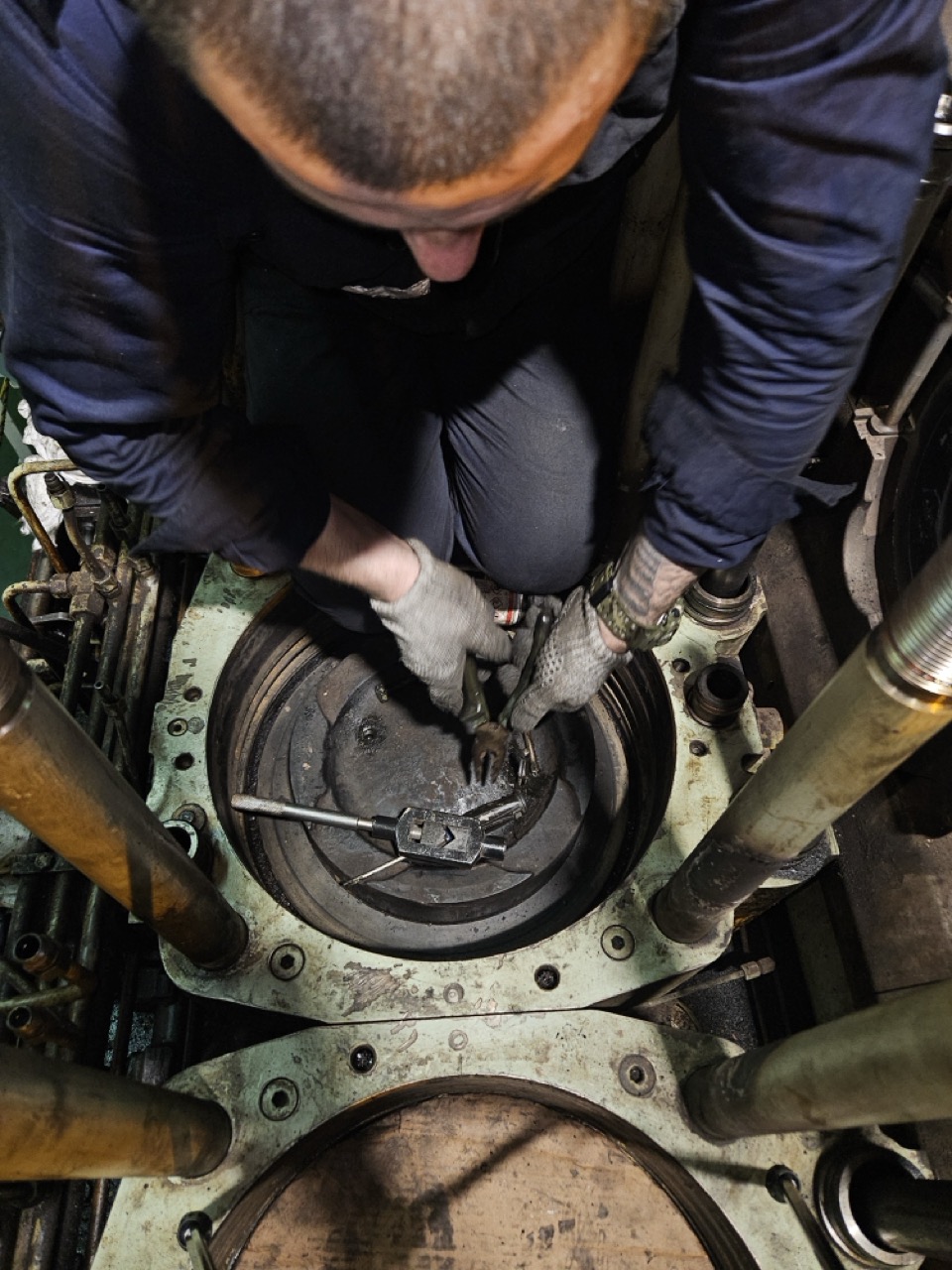 Industrial anatomy project