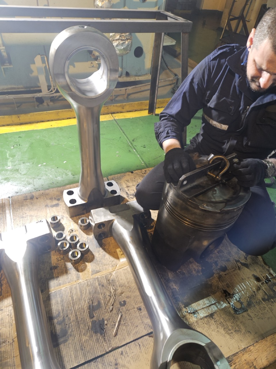 Industrial anatomy project