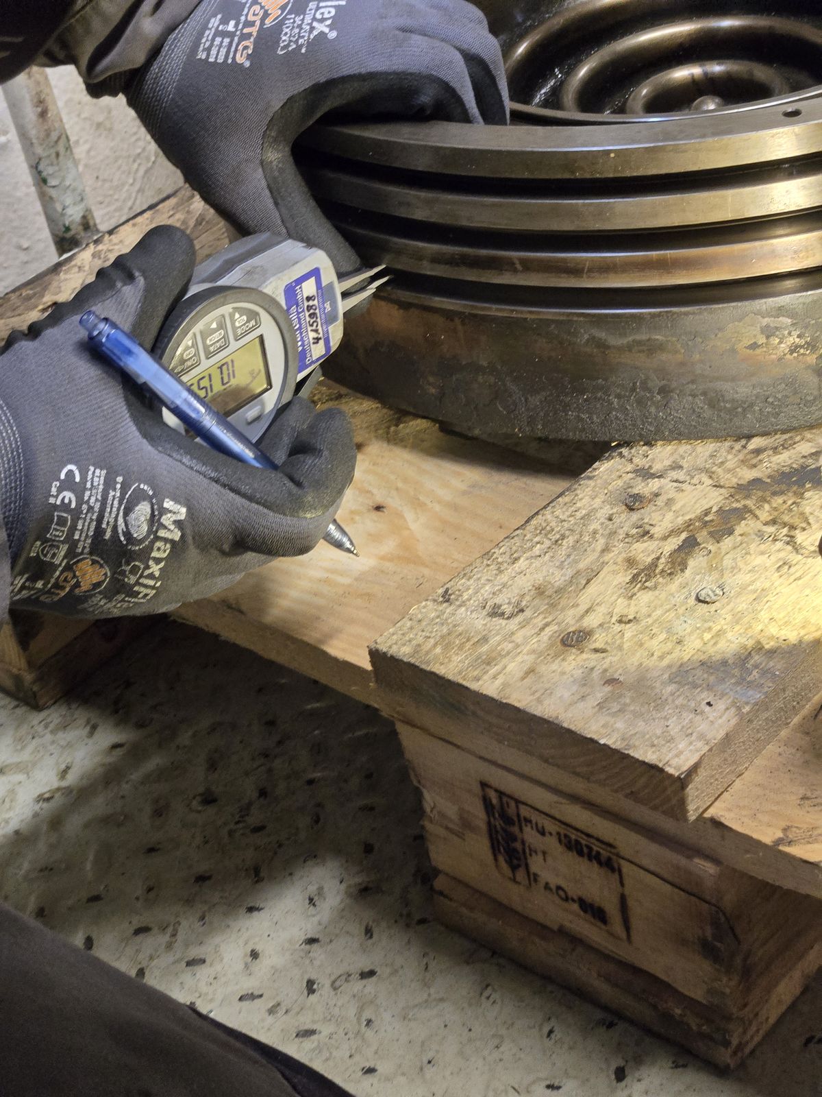 Industrial anatomy project